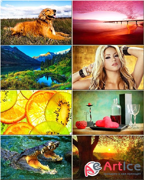 Best Mixed Wallpapers Pack #51