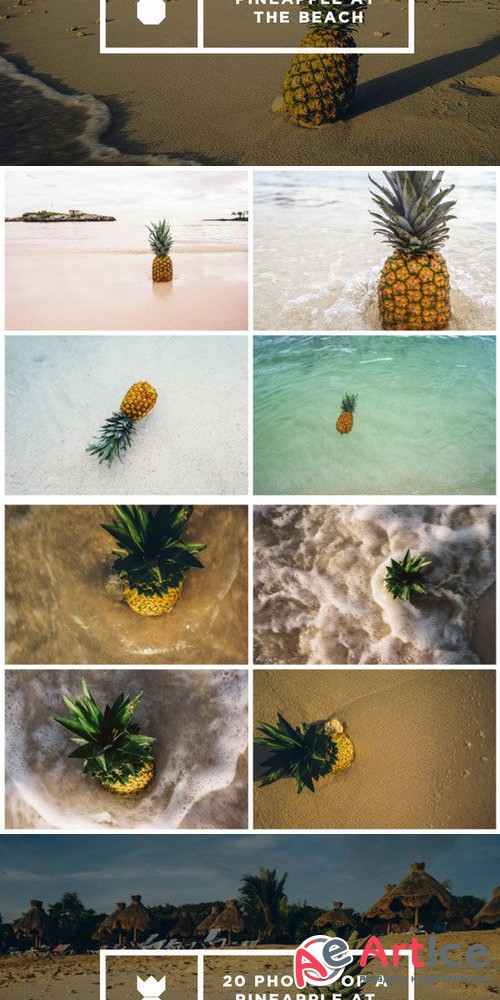 Pineapple's Day at the Beach - Creativemarket 474113