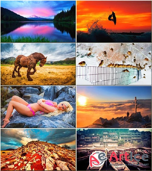 Best Wallpapers Mixed Pack #156