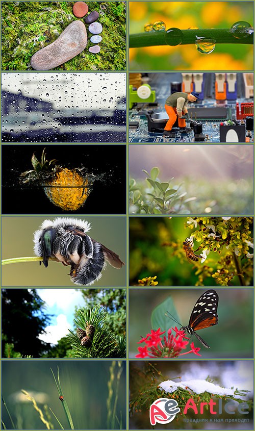 Macro Wallpapers Collection 4