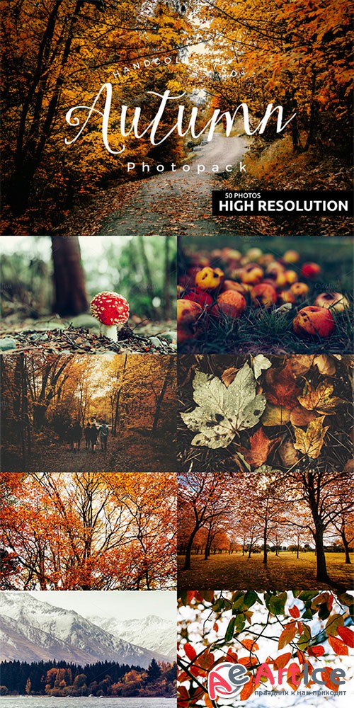50+ Hi Res Autumn Photos - Creativemarket 375844