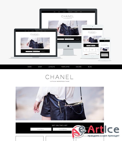 Chanel v1.0 - Wordpress Theme - Creativemarket 366057