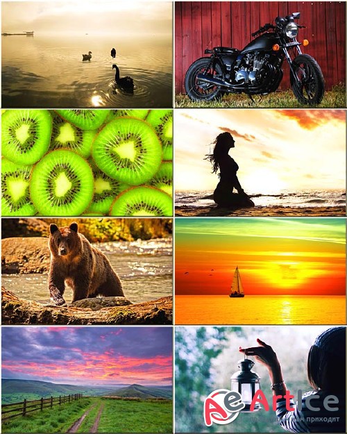 Best Wallpapers Mixed Pack #266