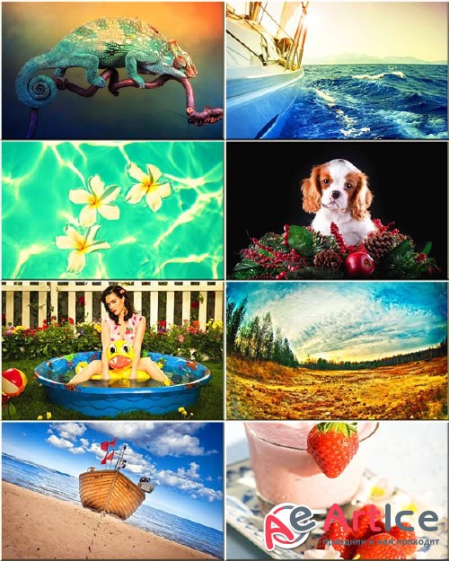 Best Mixed Wallpapers Pack #215