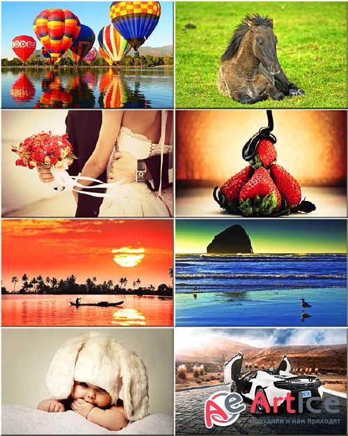 Best Wallpapers Mixed Pack #245