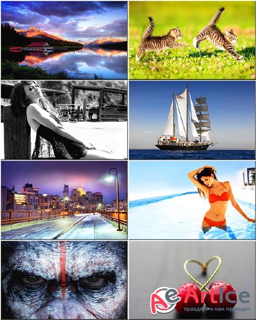 Best Wallpapers Mixed Pack #207