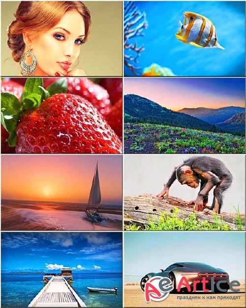 Best Mixed Wallpapers Pack #215