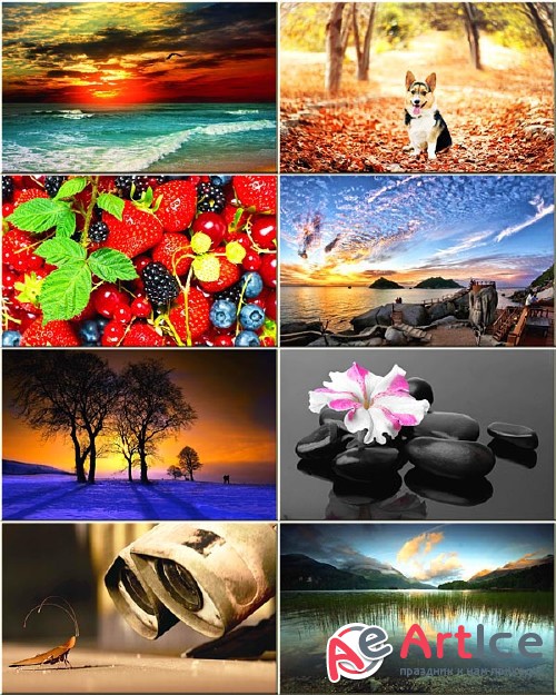 Best Wallpapers Mixed Pack #266