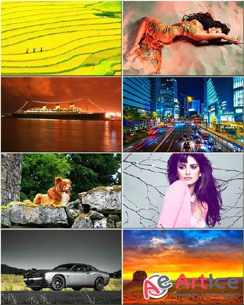 Best Wallpapers Mixed Pack #210