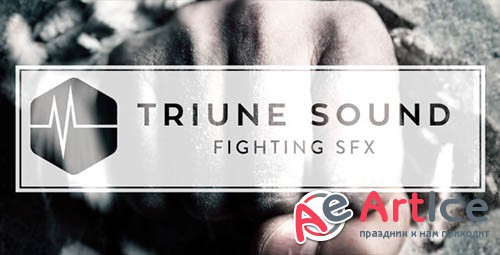 Sound Library: Triune - Triune Sound Fighting SFX