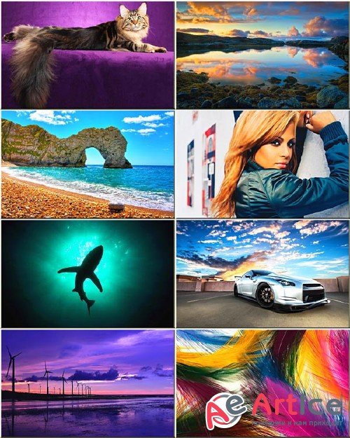 Best Wallpapers Mixed Pack #145