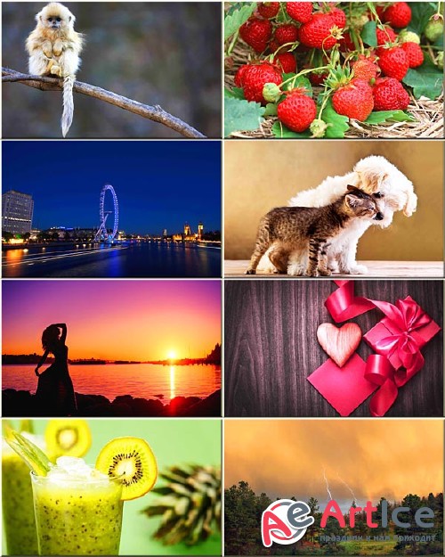 Best Mixed Wallpapers Pack #19