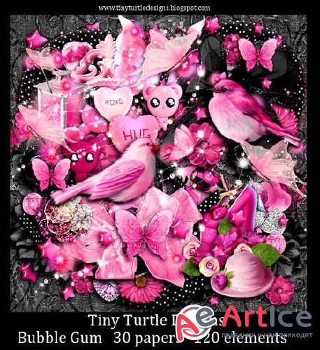24  c-  Tiny Turtle