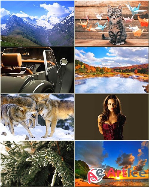 Best Mixed Wallpapers Pack #294
