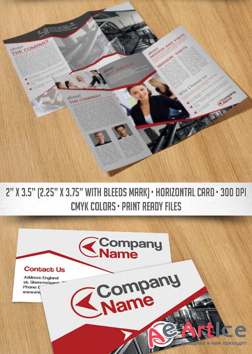 Business Corporate Tri-Fold Brochure V8 PSD Template