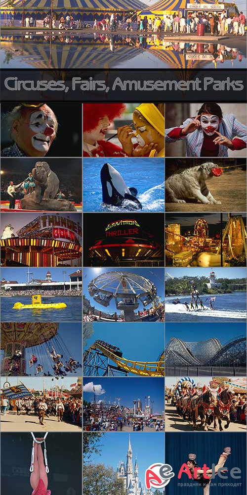 Circuses, Fairs & Amusement Parks