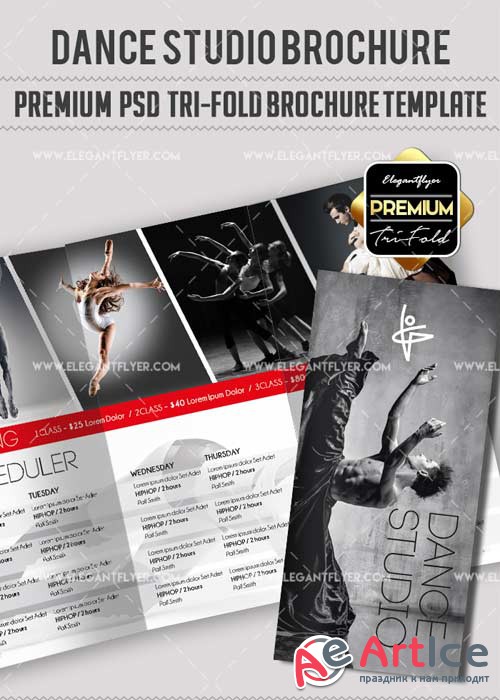 The Dancer Studio V10 Premium Tri-Fold PSD Brochure Template