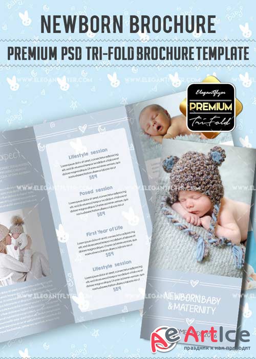 Newborn V5 Premium Tri-Fold PSD Brochure Template