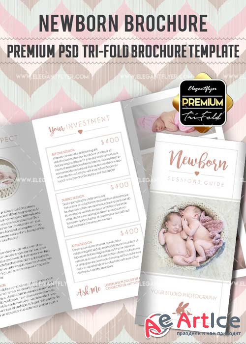 Newborn V8 Premium Tri-Fold PSD Brochure Template
