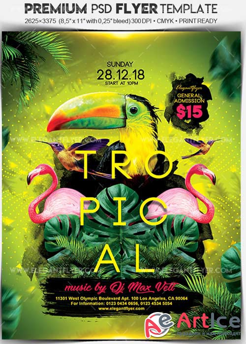Tropical Party V14 Flyer PSD Template + Facebook Cover