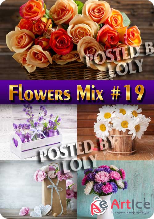 Flowers Mix #19 - Stock Photo