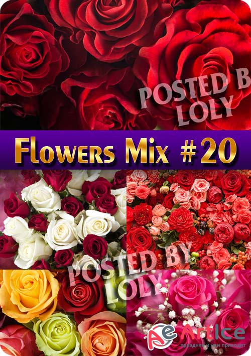 Flowers Mix #20 - Stock Photo