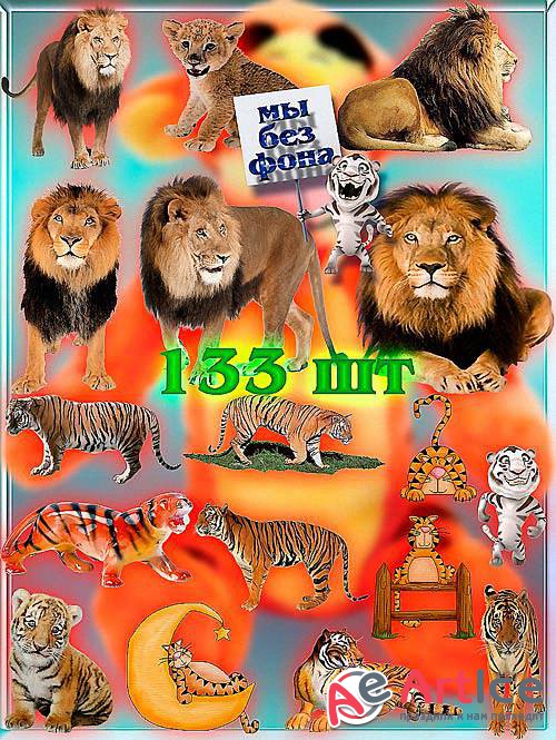 Png Клипарты - Львы и тигры