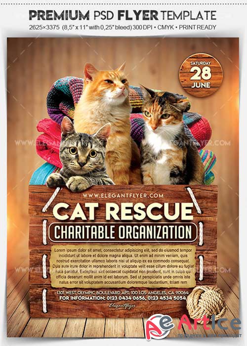 Cat Rescue V1 Flyer PSD Template + Facebook Cover