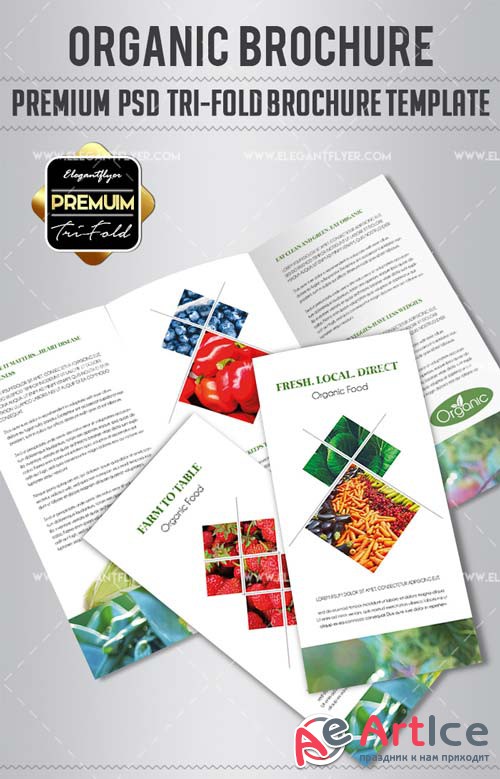 Organic Food V1 2018 Tri-Fold Brochure PSD Template