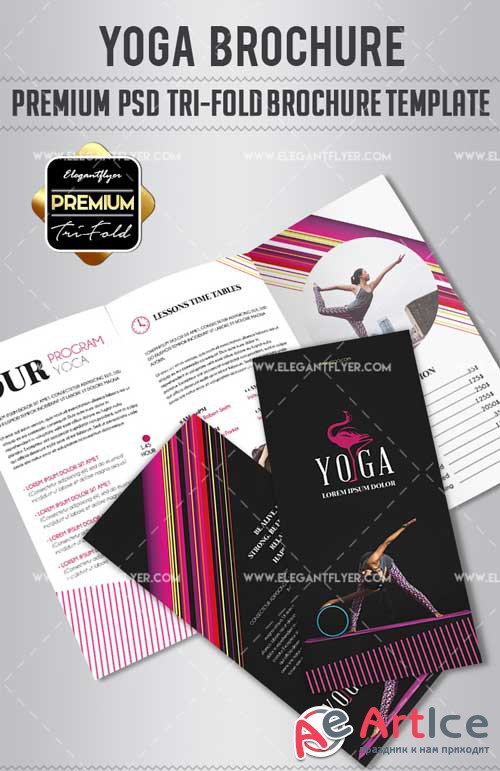 Yoga V5 2018 Tri-Fold Brochure PSD Template