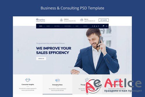 Charles - Business-Consulting PSD Template