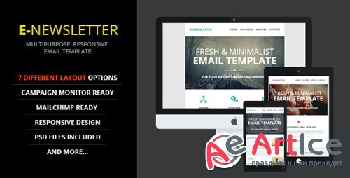 ThemeForest - E-Newsletter v1.0 - Multipurpose Email Template - 9522499
