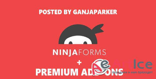 Ninja Forms v3.3.3 - The Easy and Powerful Forms Builder + Add-Ons