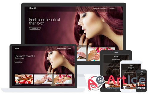 CSSIgniter - Beaute v1.7 - Beauty & Health WordPress Theme