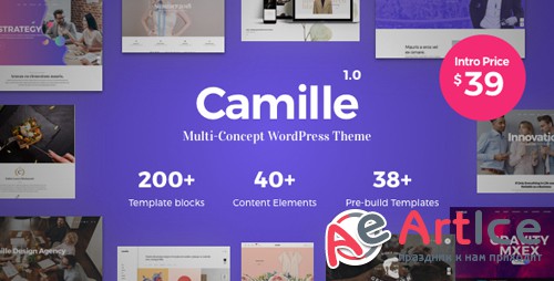 ThemeForest - Camille v1.0.1 - Multi-Concept WordPress Theme - 21847145