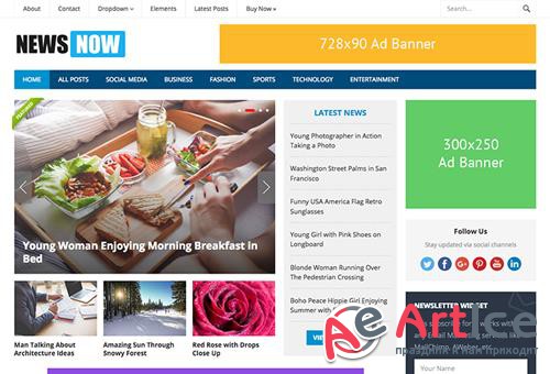 HappyThemes - NewsNow Pro v1.7 - WordPress Magazine Theme