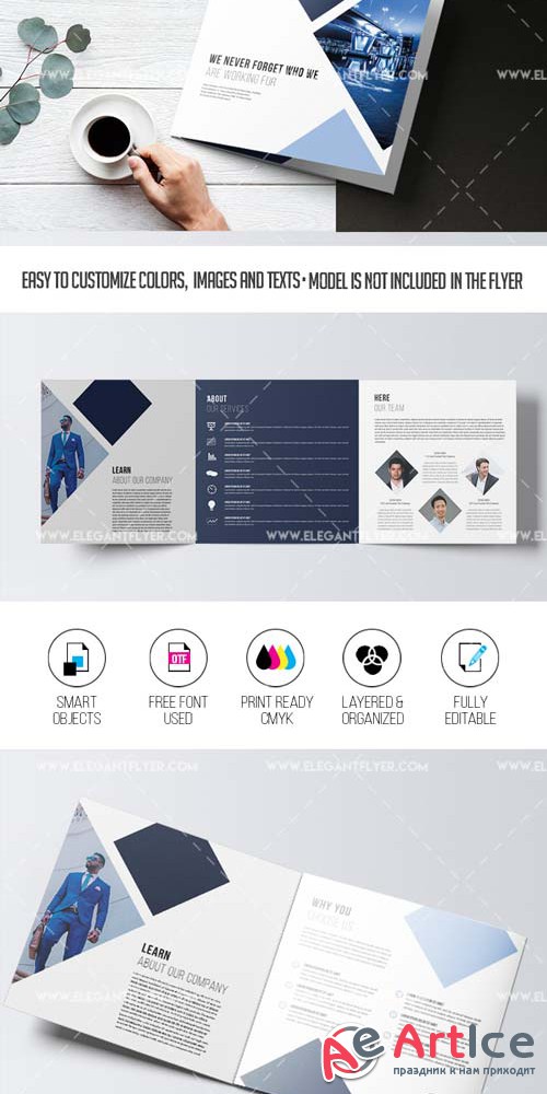 Business V46 2018 Tri-Fold Brochure PSD Template