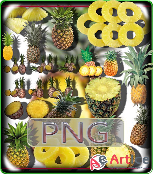  Png - - 