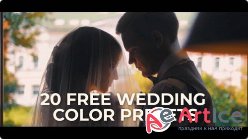 20 Wedding Color Presets for Premiere Pro