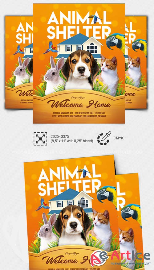 Animal Shelter V7 2019 PSD Flyer Template