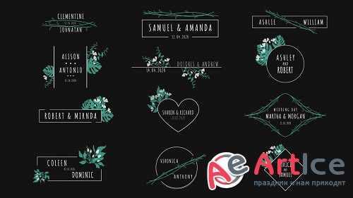 Wedding Titles Pack - Project for After Effects